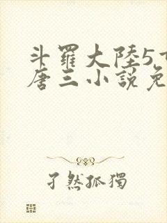 斗罗大陆5重生唐三小说免费阅读
