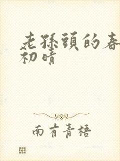 老孙头的春天林初晴封面
