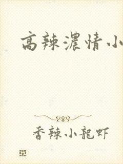 高辣浓情小说