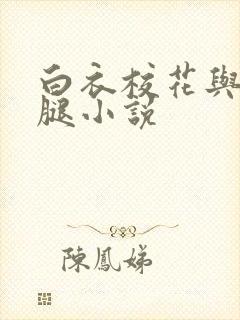 白衣校花与大长腿小说封面