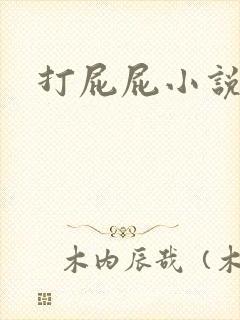 打屁屁小说