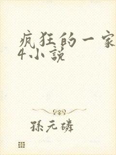 疯狂的一家ps4小说封面