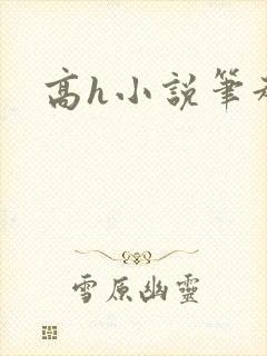 高h小说笔趣阁封面