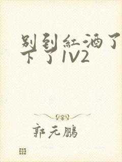 别到红酒了装不下了1V2