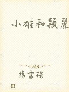 小雄和颖丽封面