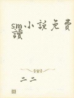 sm小说免费阅读