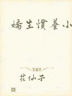 娇生惯养小说