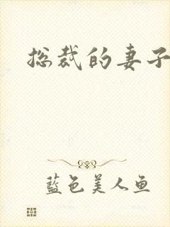 总裁的妻子封面