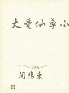 大爱仙尊小说