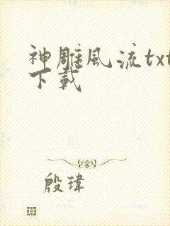 神雕风流txt下载