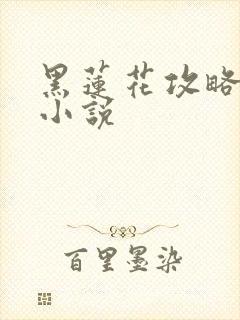 黑莲花攻略手册小说