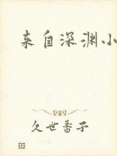 来自深渊小说
