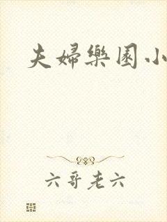 夫妇乐园小说