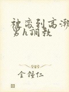 被脔到高潮的直男h调教