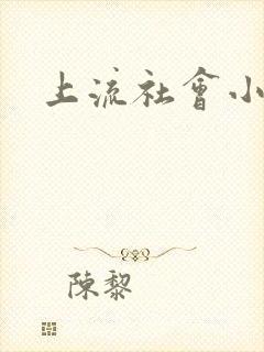 上流社会小说