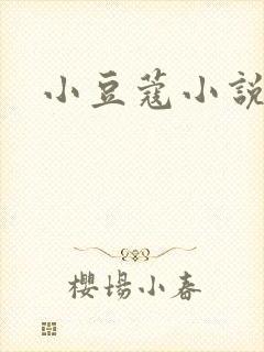 小豆蔻小说封面