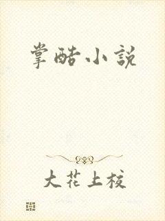 掌酷小说