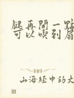腿再开一点我就可以吃到扇贝了封面
