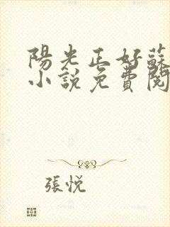 阳光正好苏玥玥小说免费阅读