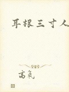 耳根三寸人间