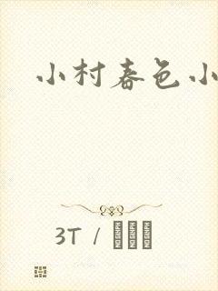 小村春色小说封面