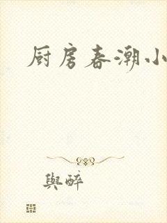 厨房春潮小说