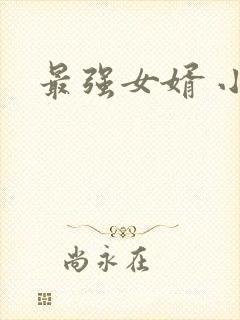 最强女婿 小说封面