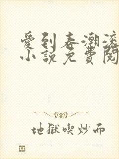 爱到春潮滚滚来小说免费阅读