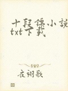十段锦小说全本txt下载
