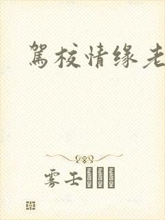 驾校情缘老赵