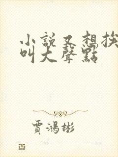 小说又想挨C了叫大声点