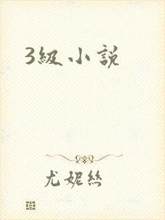3级小说