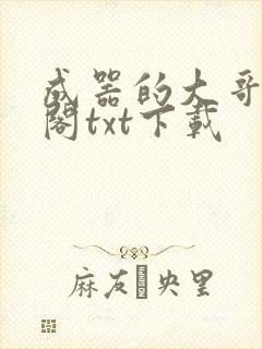 成器的大哥笔趣阁txt下载