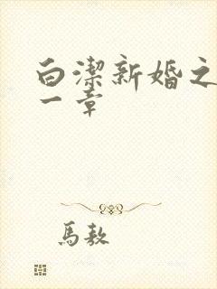 白洁新婚之夜第一章