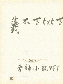 落不下txt下载