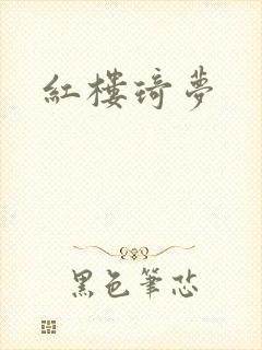 红楼琦梦