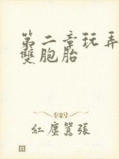 第二章玩弄少妇双胞胎