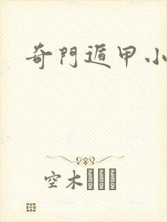 奇门遁甲小说