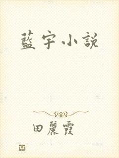 蓝宇小说