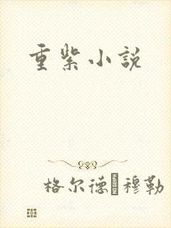 重紫小说