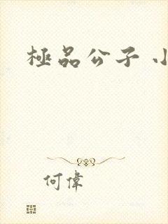 极品公子 小说