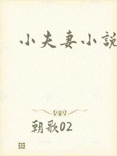 小夫妻小说封面