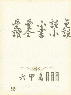 爱爱小说免费阅读全书小说乡村封面
