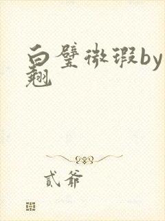 白璧微瑕by连翘