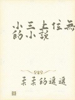 小三上位无三观的小说