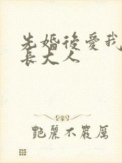 先婚后爱我的市长大人封面