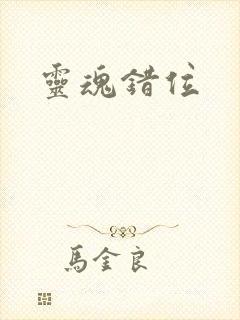 灵魂错位封面