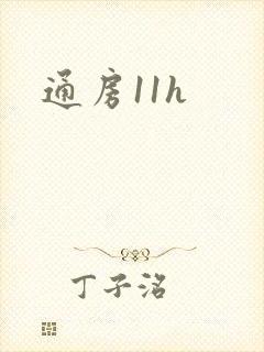 通房11h