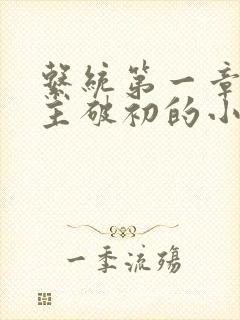 系统第一章给宿主破初的小说