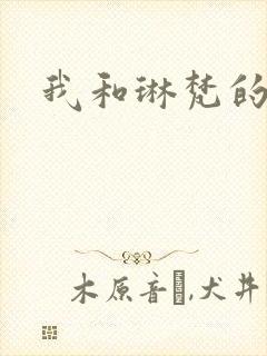 我和琳梵的故事封面